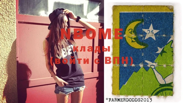 индика Почеп