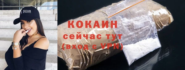 индика Почеп