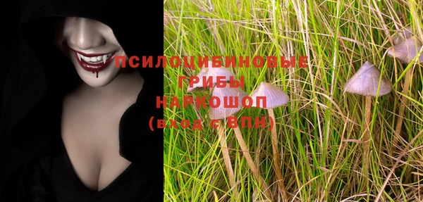 PSILOCYBIN Михайловка