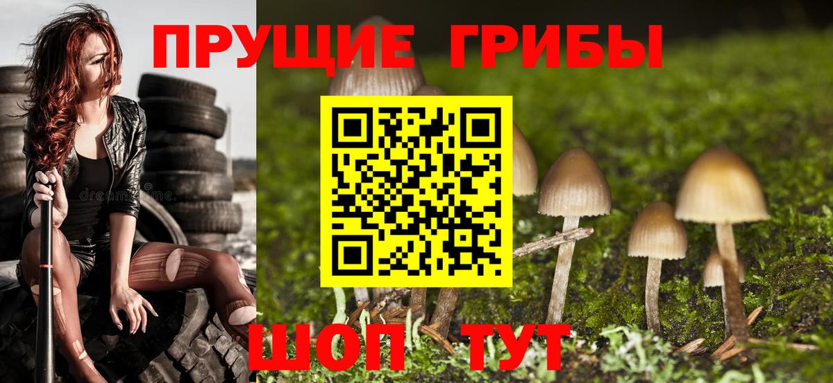 Галлюциногенные грибы прущие грибы  Вход с VPN  Галлюциногенные грибы MAGIC MUSHROOMS  Златоуст 