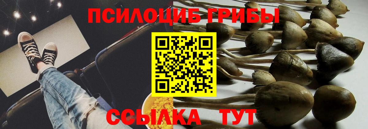 Галлюциногенные грибы прущие грибы Златоуст